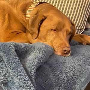 Meet your Posher, Kerri